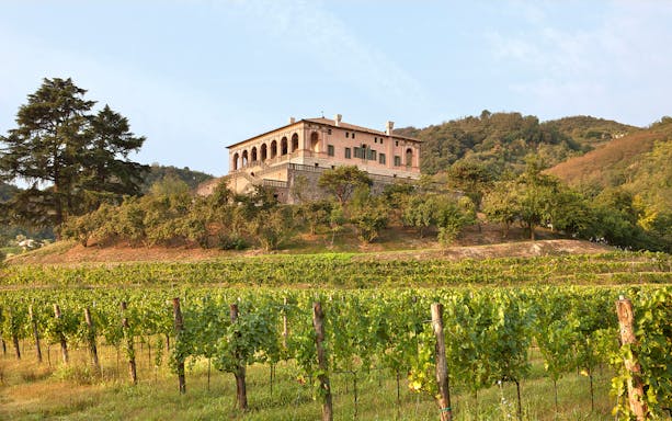 Villa dei Vescovi on a hill with vineyards in the foreground, surrounded by lush greenery.