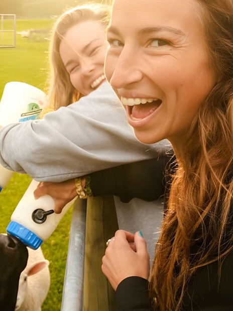 Visitors feeding calves with bottles at a farm in Te Anau.