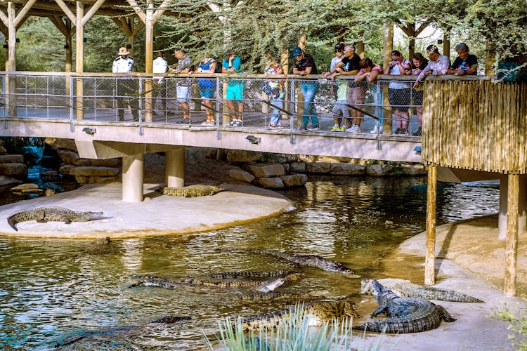 Crocodile Park Dubai