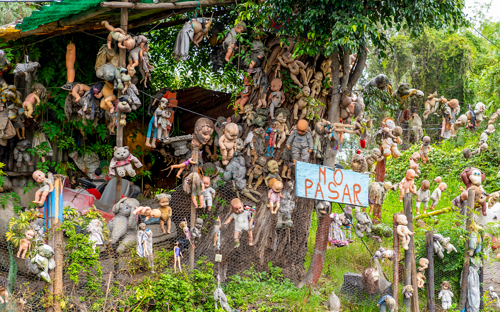 Xochimilco's Island of the Dolls with hanging dolls in Mexico.