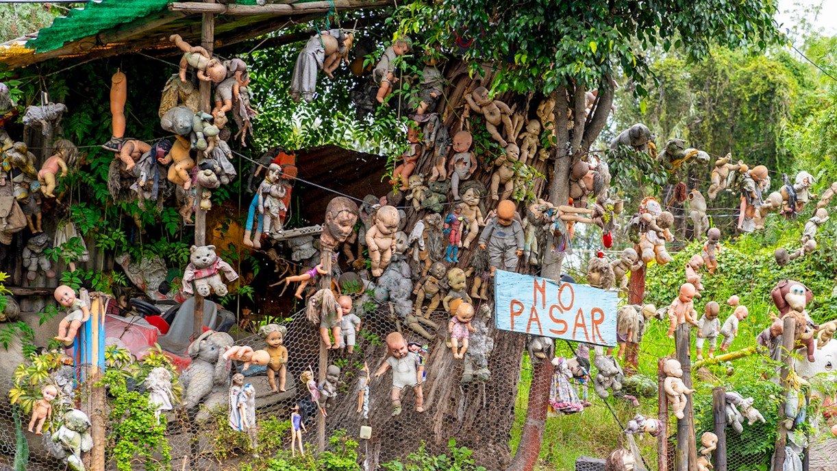 Xochimilco's Island of the Dolls with hanging dolls in Mexico.