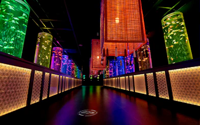 Tall cylindrical aquariums lit in various colors at Art Aquarium Museum gallery.