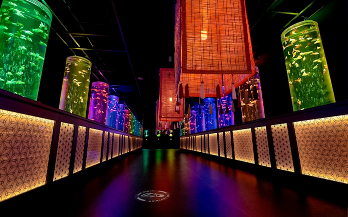 Tall cylindrical aquariums lit in various colors at Art Aquarium Museum gallery.