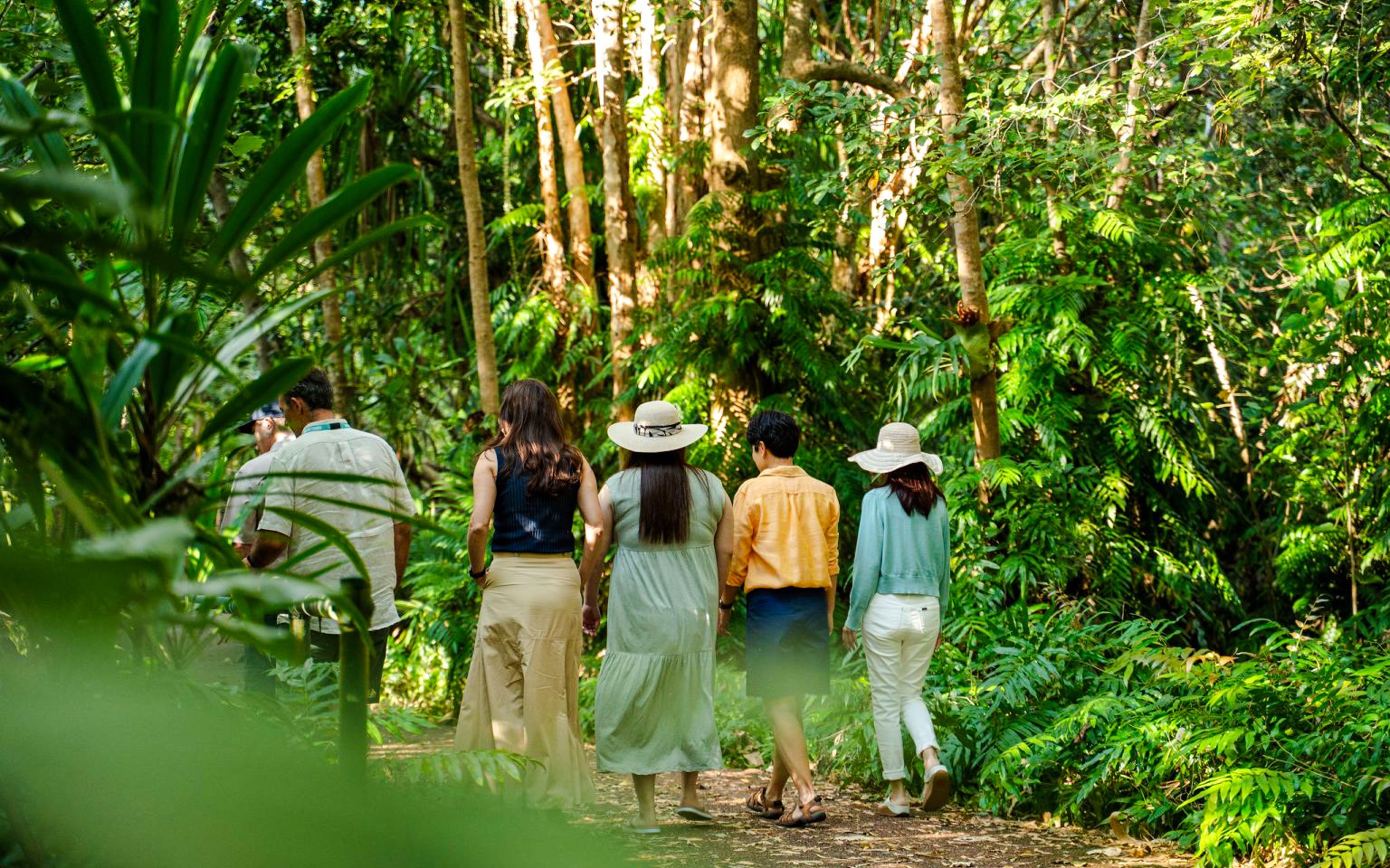waterfall, wetlands and skyrail-10