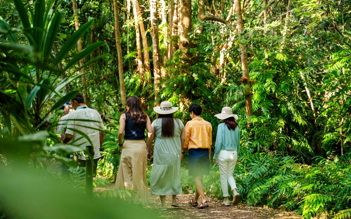 waterfall, wetlands and skyrail-10