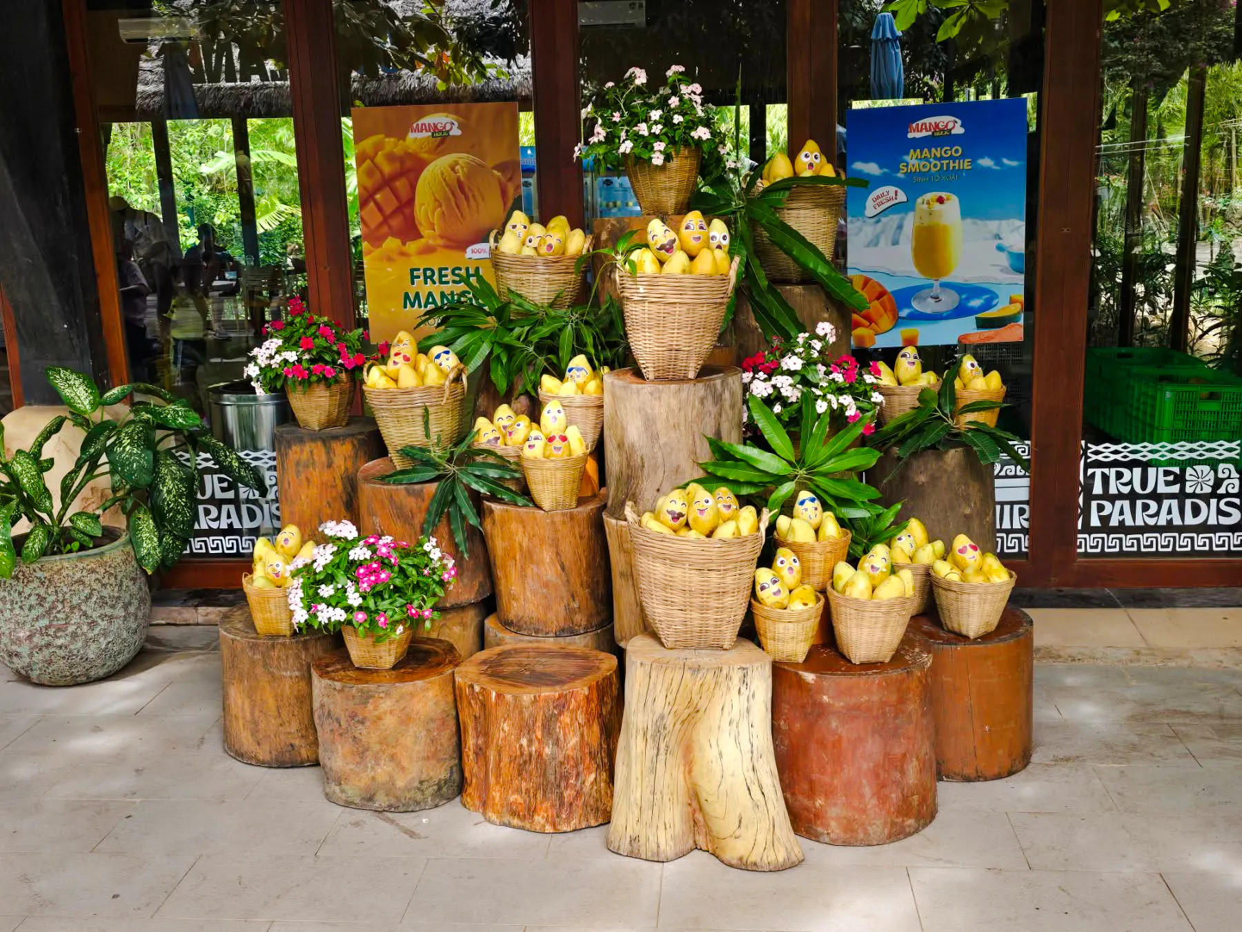 Baskets of decorated mangoes at a Phu Quoc market stall during the Hon Thom Cable Car Tour.