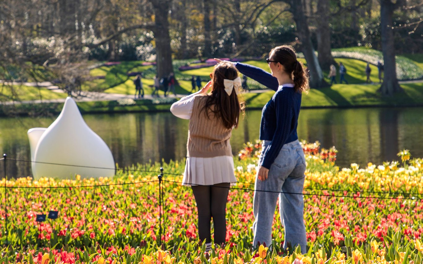 Guests enjoying tulip fields at Keukenhof Gardens, Amsterdam.
