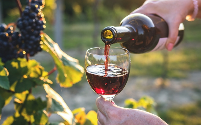 Pouring red wine into a glass in a vineyard setting.