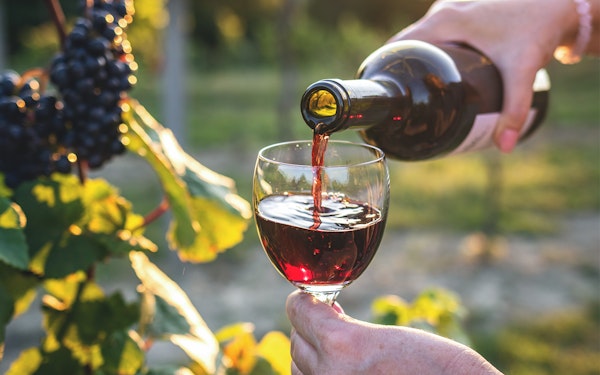 Chianti Region Guided Tour with Local Tastings and Vineyards