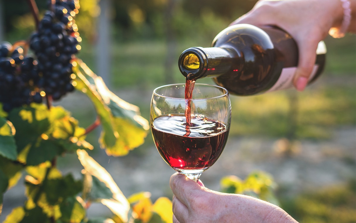 Pouring red wine into a glass in a vineyard setting.