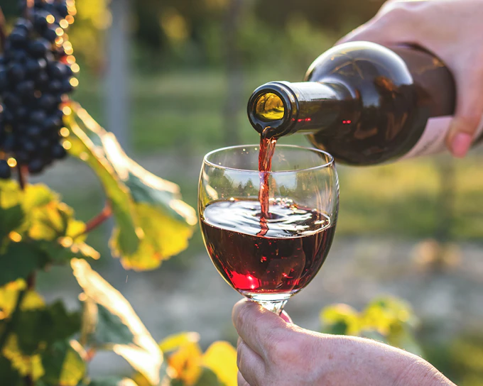 Chianti Region Guided Tour with Local Tastings and Vineyards