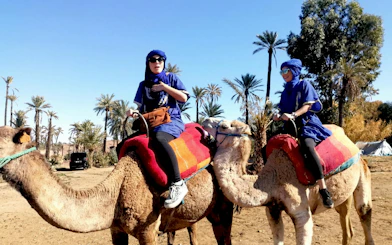 Camel ride in Marrakesh palm grove during sunrise hot air balloon tour.