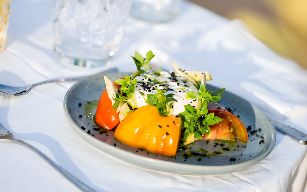 Gourmet salad with tomatoes and herbs served on Le Diamant Bleu Seine River cruise.