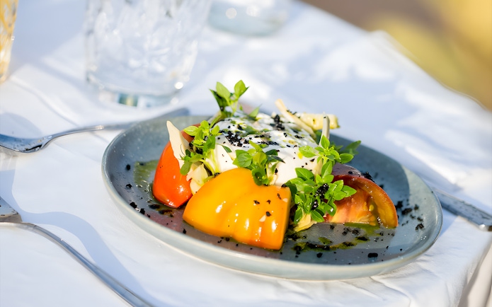 Gourmet salad with tomatoes and herbs served on Le Diamant Bleu Seine River cruise.