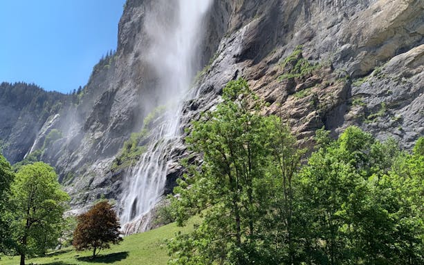 Waterfall cascading down a rocky cliff surrounded by lush greenery in Jungfraujoch, Switzerland.
