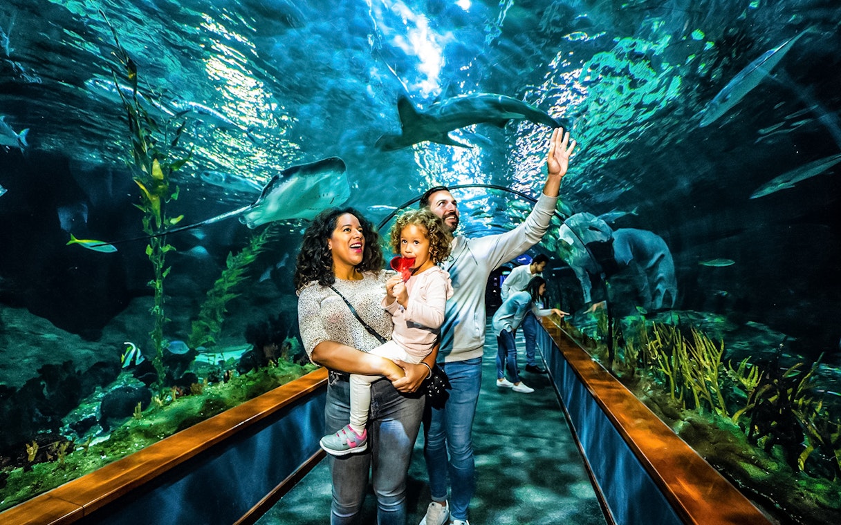 Family enjoying the aquarium tunnel at Loro Park, Tenerife.