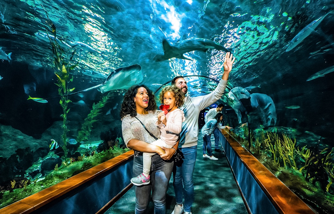 Loro Parque entradas