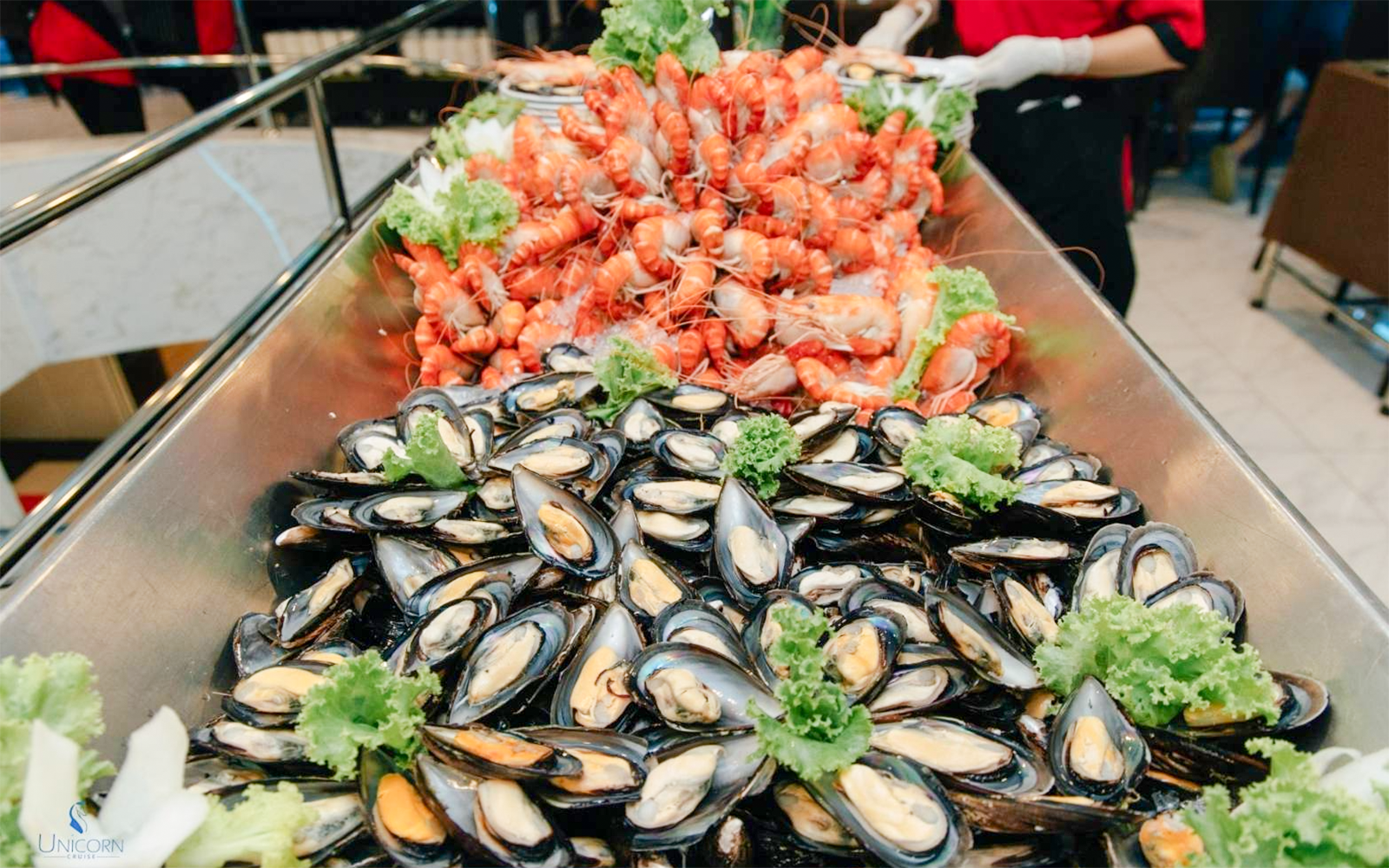 Close-up of a gourmet seafood platter featuring prawns and mussels.