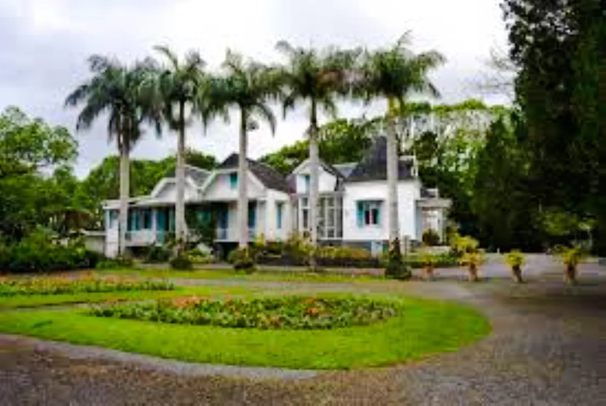 dagstur til teplantasjer og kolonitidsgårder på mauritius med lunsj og hotelltransport-7