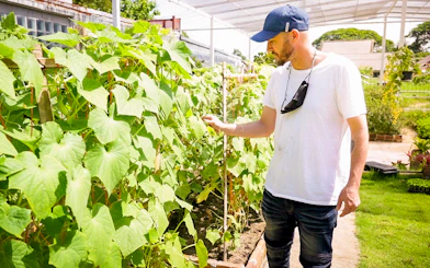 Man examining plants in organic garden at Mama Noi Thai Cooking Class.