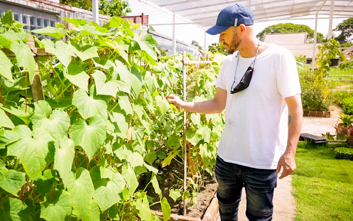Man examining plants in organic garden at Mama Noi Thai Cooking Class.