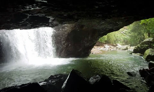 Springbrook National Park