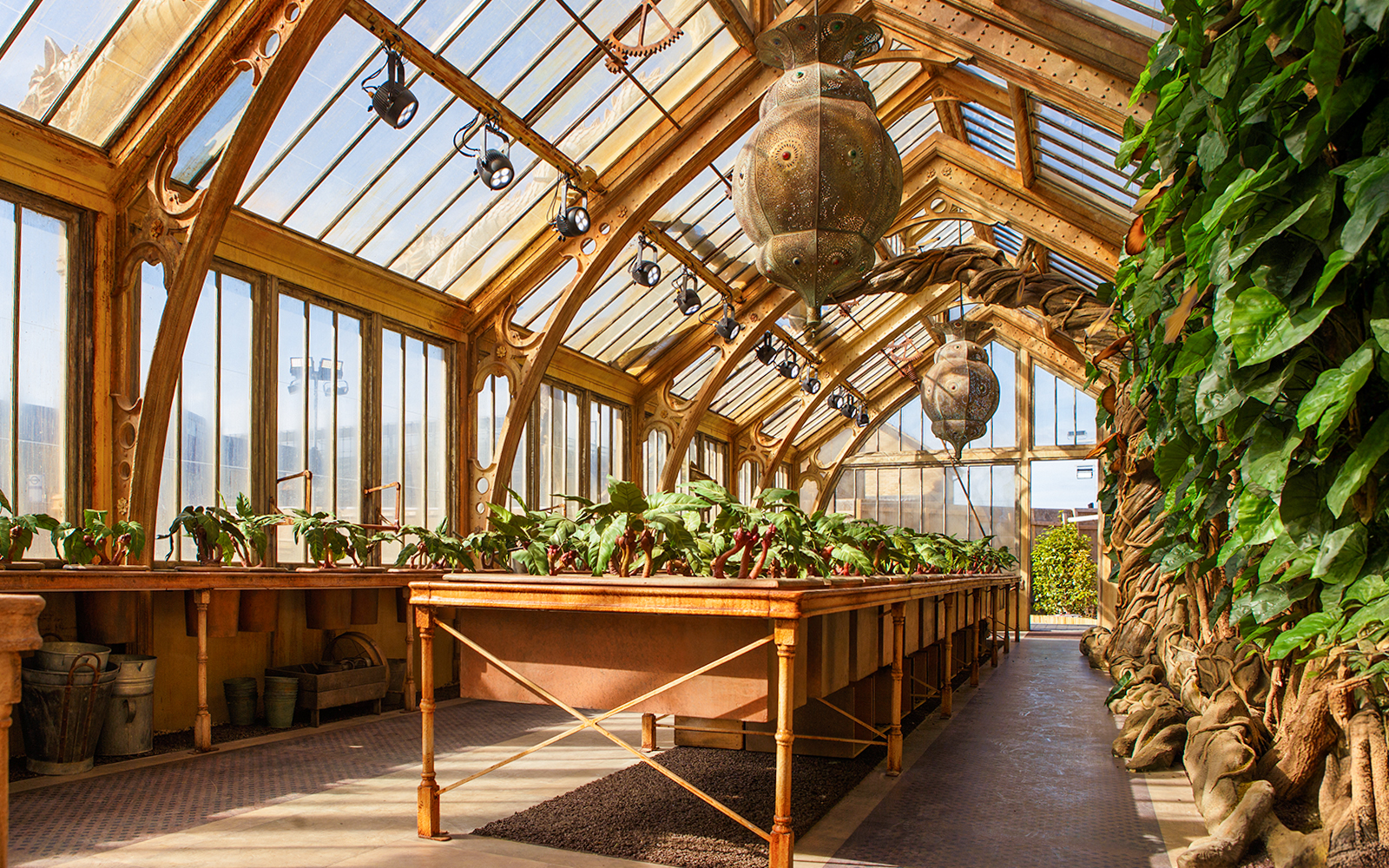 Professor Sprout's greenhouse with magical plants at Harry Potter London tour.