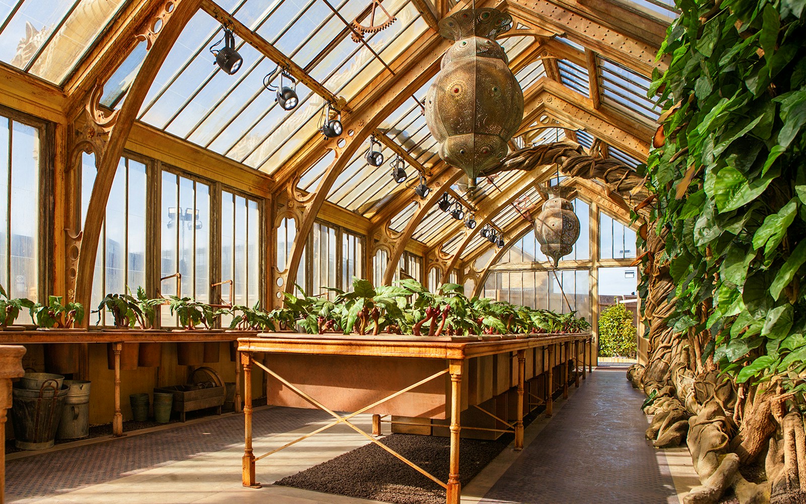 Professor Sprout's greenhouse with magical plants at Harry Potter London tour.