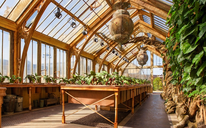 Professor Sprout's greenhouse with magical plants at Harry Potter London tour.