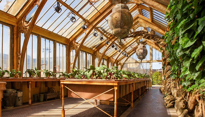 Professor Sprout's greenhouse with magical plants at Harry Potter London tour.