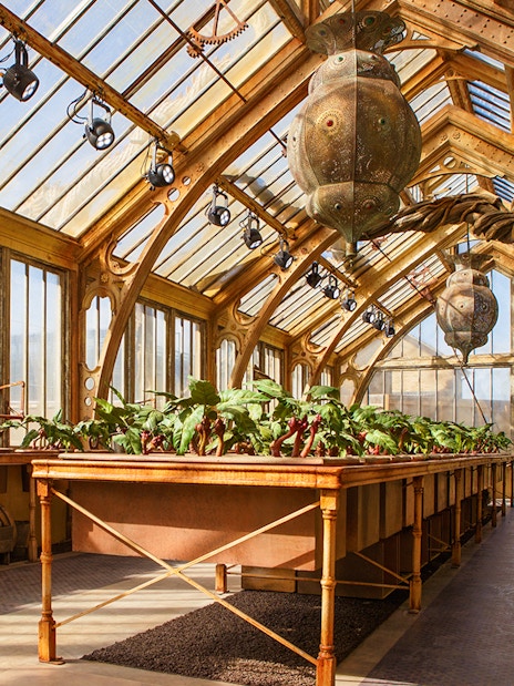 Professor Sprout's greenhouse with magical plants at Harry Potter London tour.