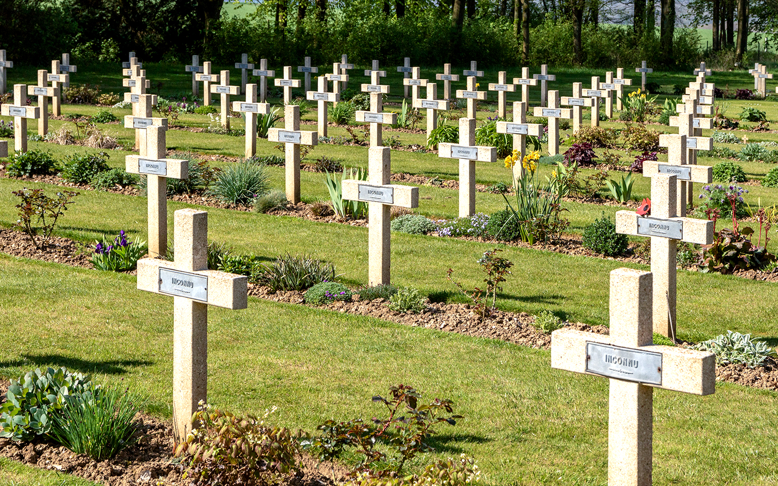 Rows of crosses at Somme Battlefield cemetery, France, on a day trip from Paris.