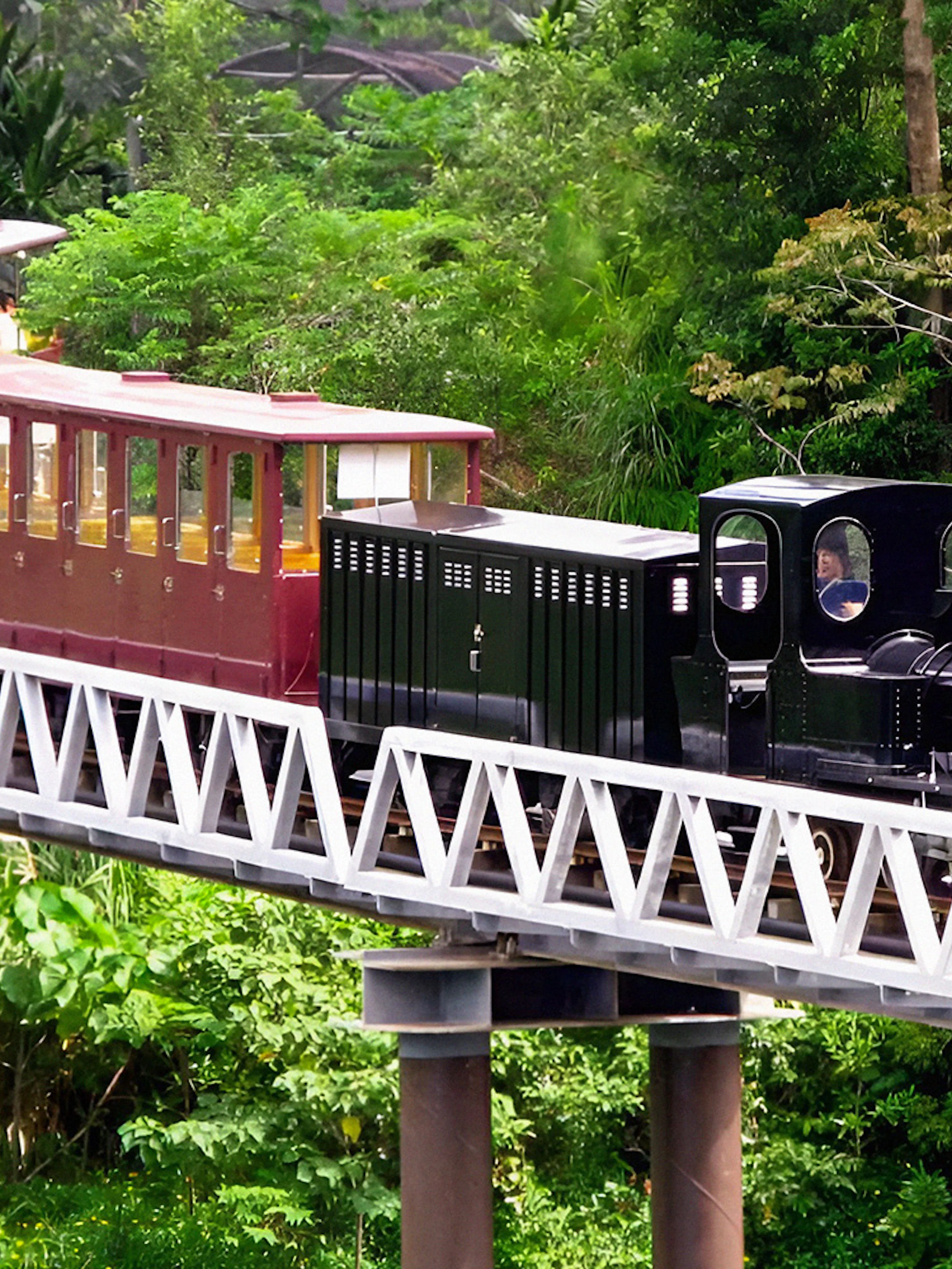 Train ride through lush greenery at Okinawa Neo Park.