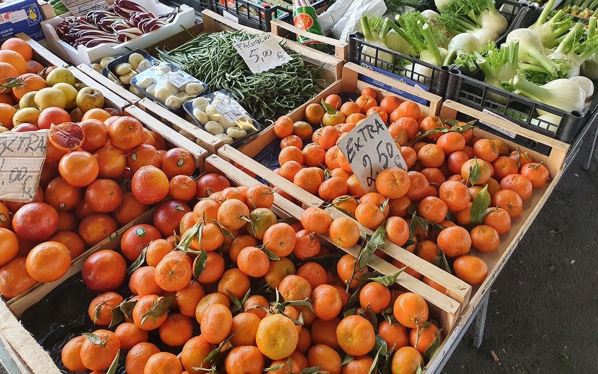 Fresh produce at Florence Central Market, featuring oranges, green beans, and fennel.