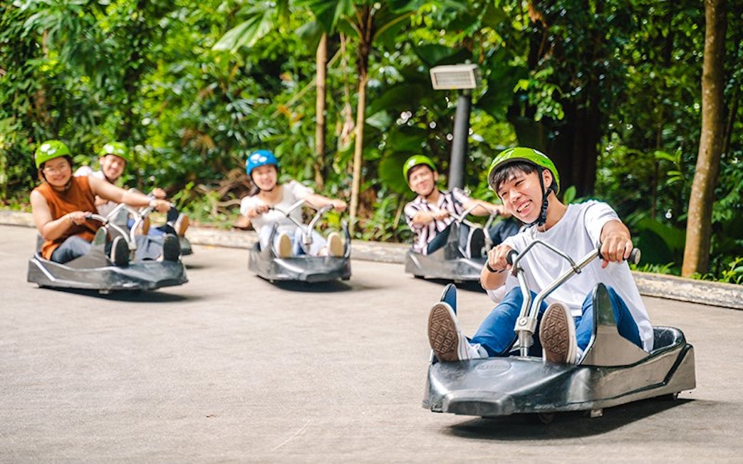 People enjoying a ride on the Skyline Luge track surrounded by lush greenery.