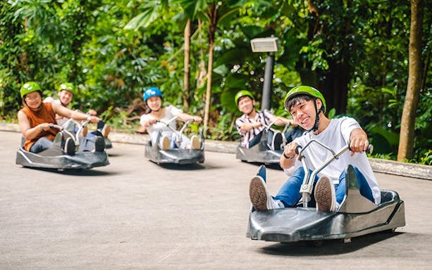 People enjoying a ride on the Skyline Luge track surrounded by lush greenery.