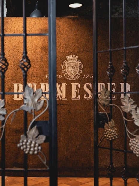 Burmester wine cellar entrance with grapevine gate in Porto.