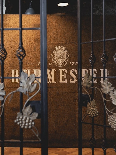 Burmester wine cellar entrance with grapevine gate in Porto.