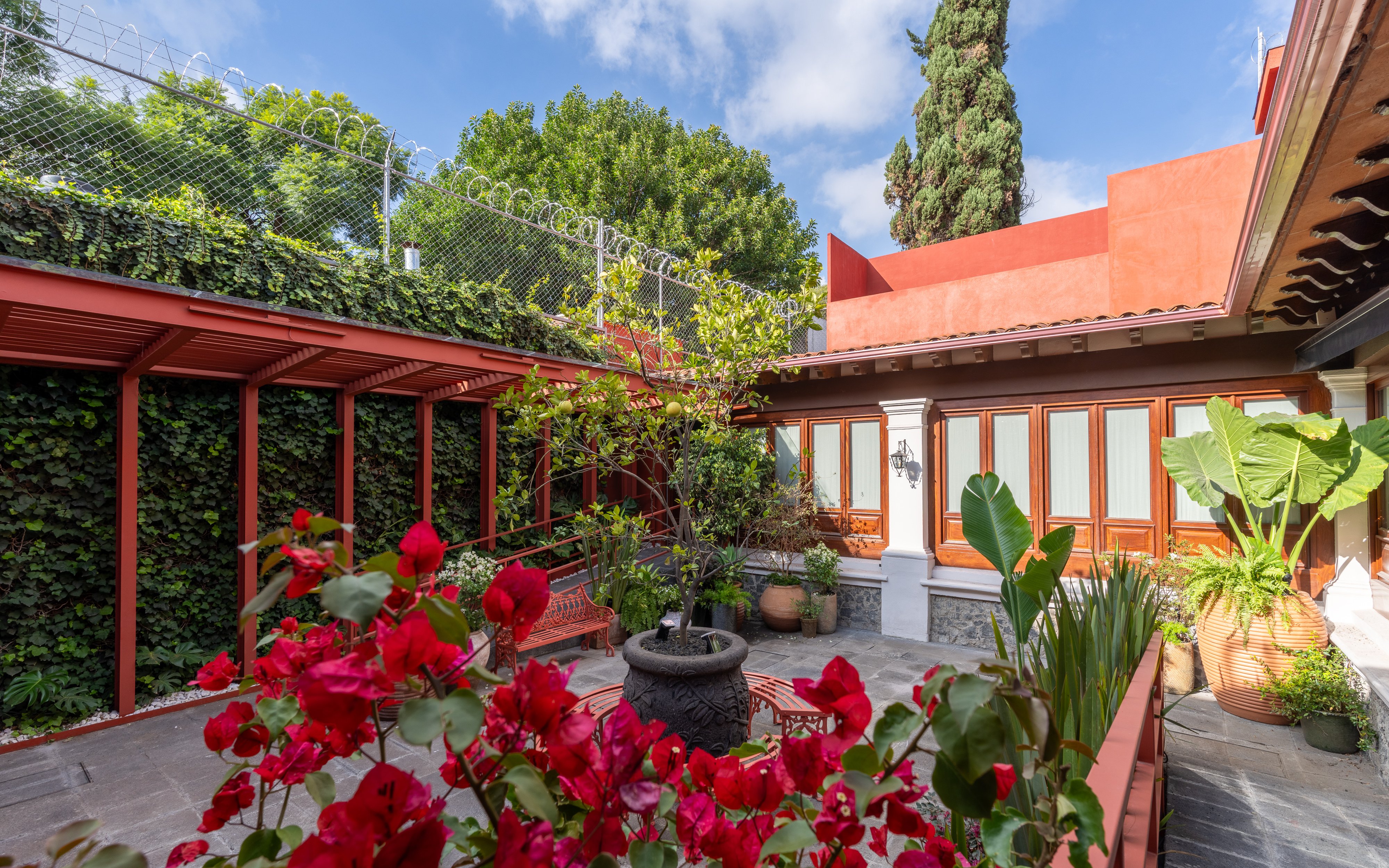 Courtyard with vibrant flowers and greenery at Museo Casa Kahlo, Mexico City.