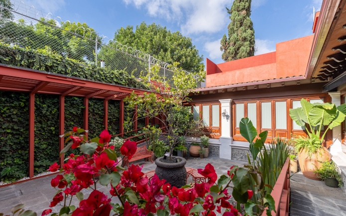 Courtyard with vibrant flowers and greenery at Museo Casa Kahlo, Mexico City.