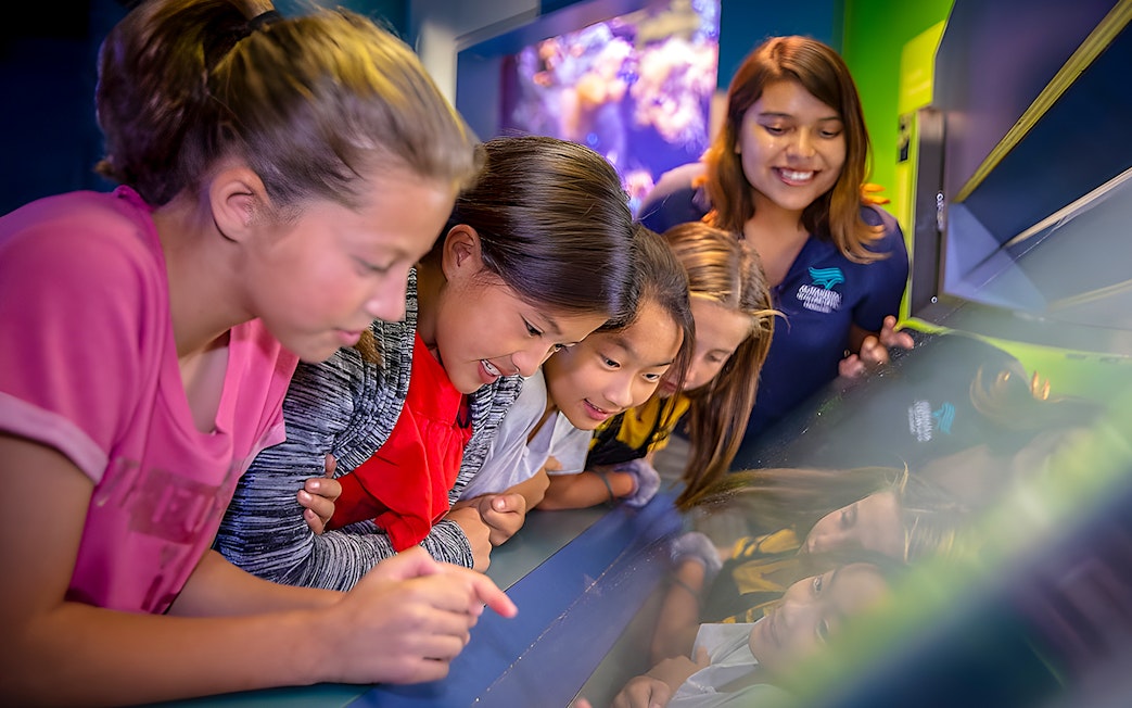 Children exploring interactive exhibit at Aquarium of the Pacific.
