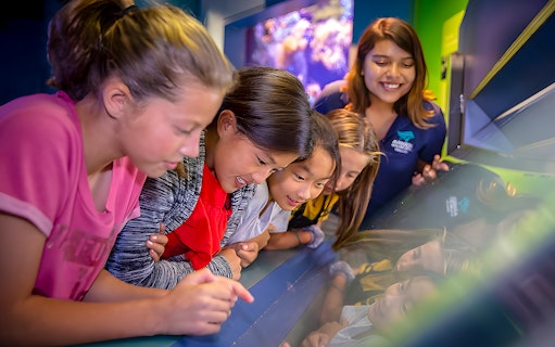 Children exploring interactive exhibit at Aquarium of the Pacific.