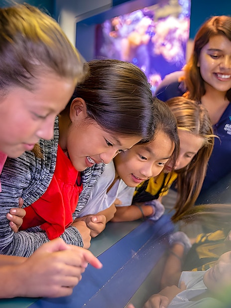 Children exploring interactive exhibit at Aquarium of the Pacific.