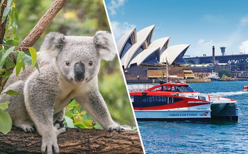combo: crucero turístico de 2 días captain cook cruises + entradas para el zoo de taronga-1