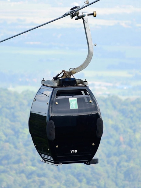 VIP gondola on Langkawi cable car with forest view.