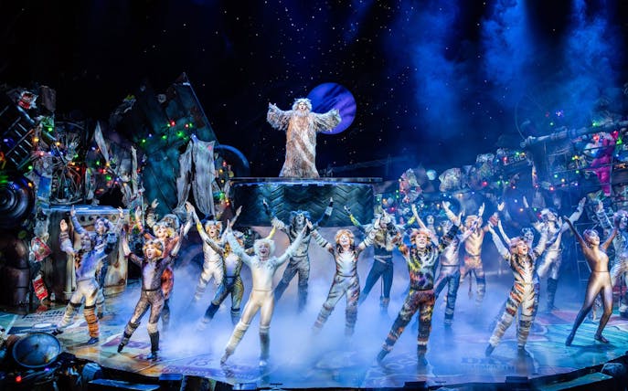 Performers in costume on stage at Cats show in Perth.
