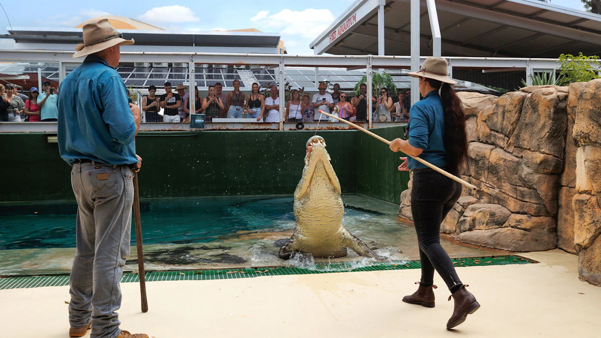 Handlers feeding a jumping crocodile at Crocosaurus Cove, Darwin, with spectators watching.