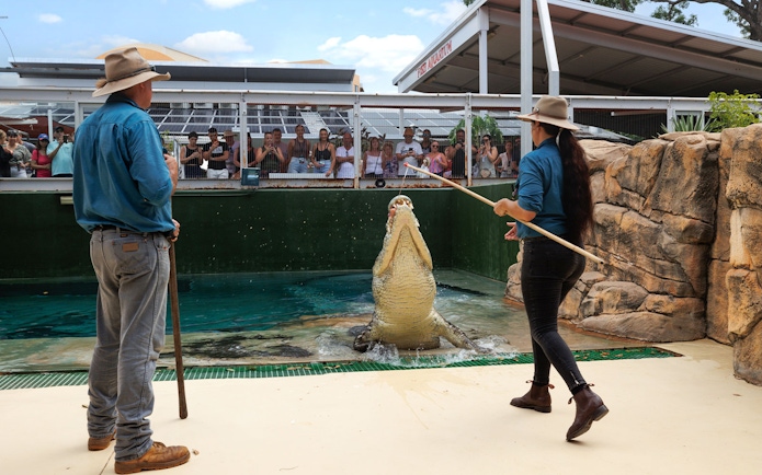 Handlers feeding a jumping crocodile at Crocosaurus Cove, Darwin, with spectators watching.