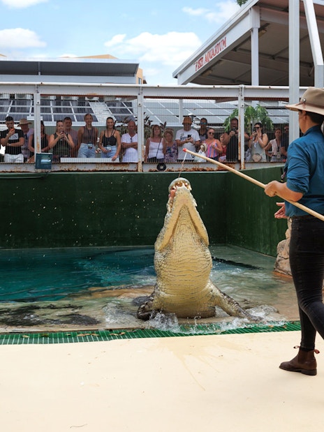 Handlers feeding a jumping crocodile at Crocosaurus Cove, Darwin, with spectators watching.