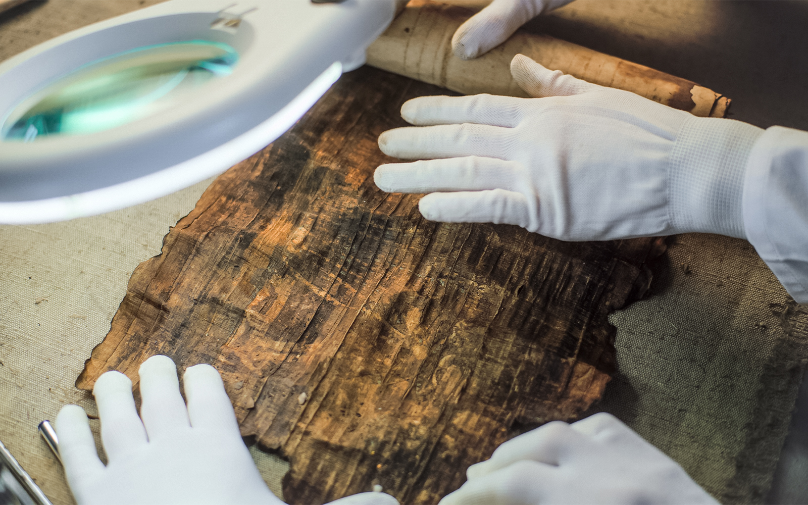 papyrus collection at neues museum berlin